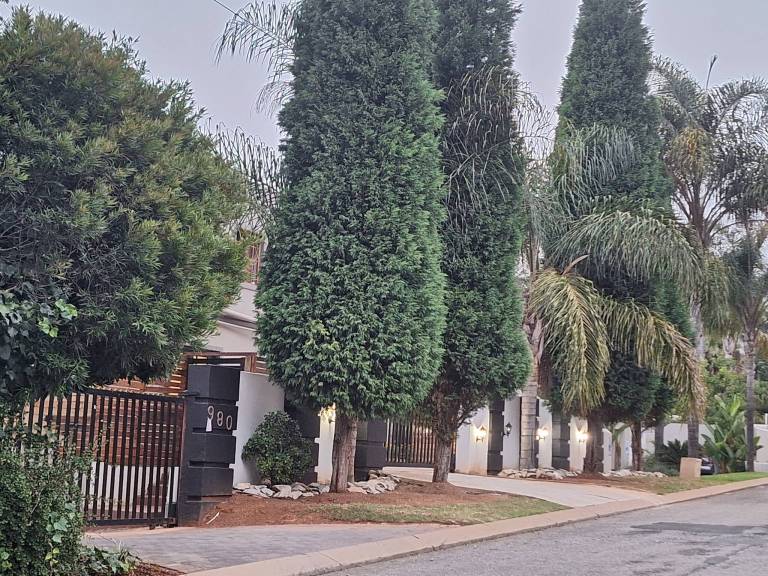 foto5
