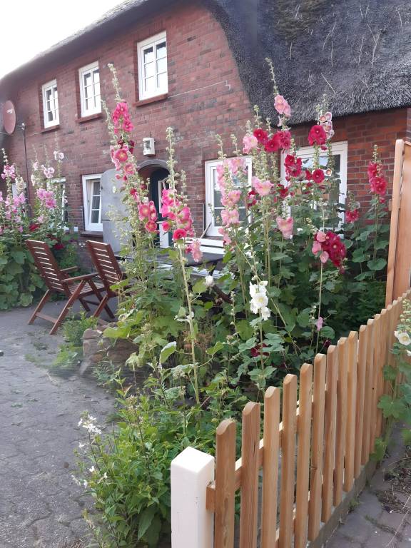 Ferienhaus Oland