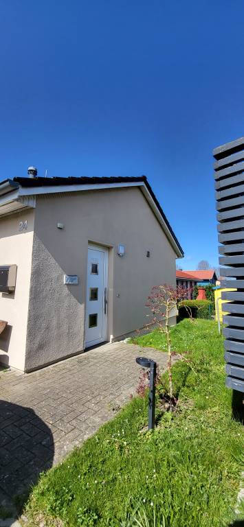 foto11