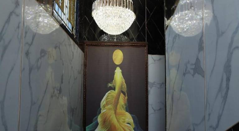 foto7
