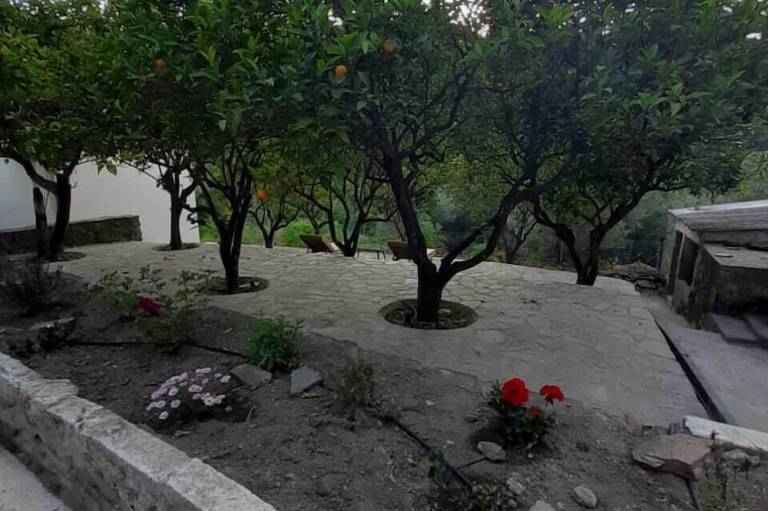 foto6