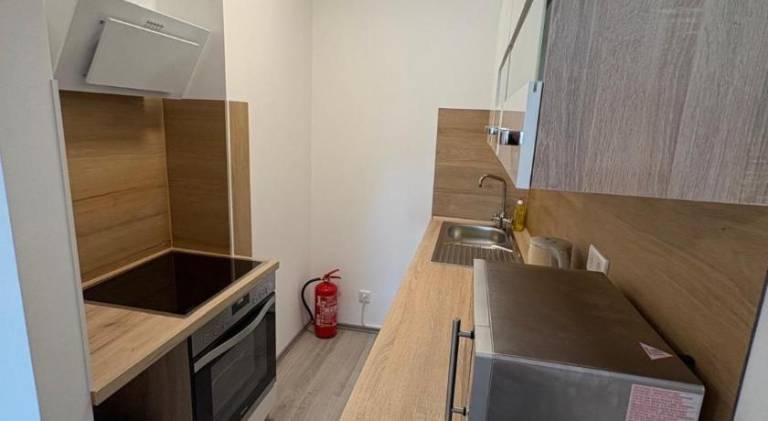 Holiday apartment | Dogs allowed — photo 3