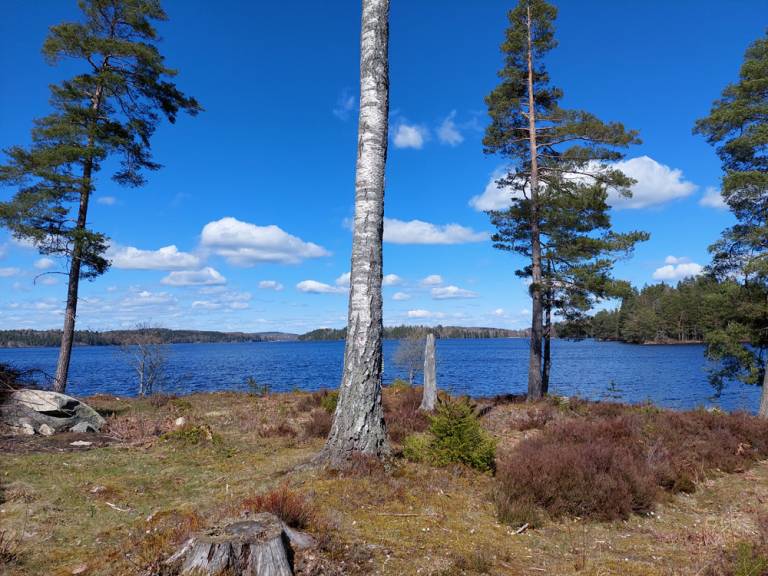 foto13