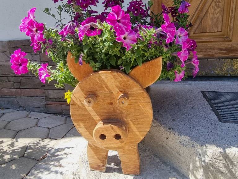 foto25
