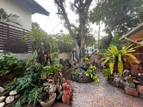 foto9