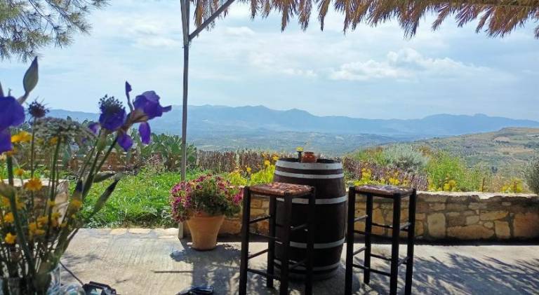 Vacation home with terrace, BBQ & private pool | Suitable for remote work in Heraklion