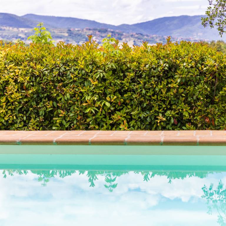 Agriturismo Un Petit Paradis: Romantic Flat — photo 4