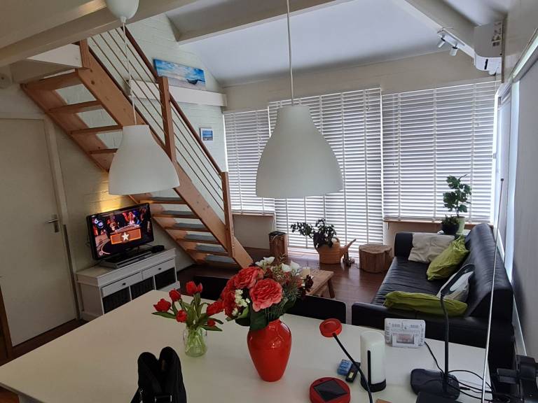 foto1