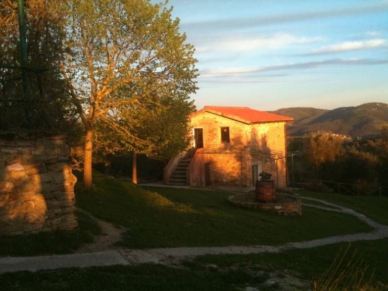 foto19
