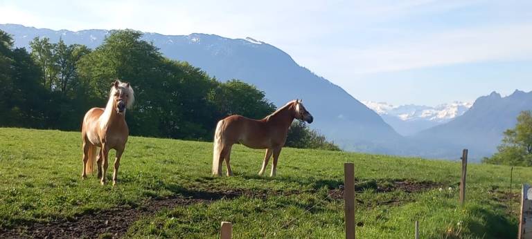 foto14