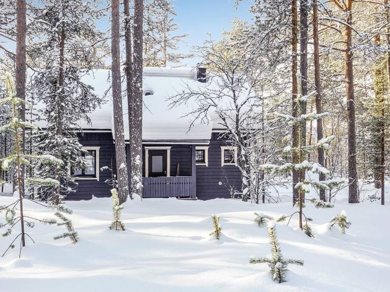 Vacation home with sauna | Pets allowed — photo 3