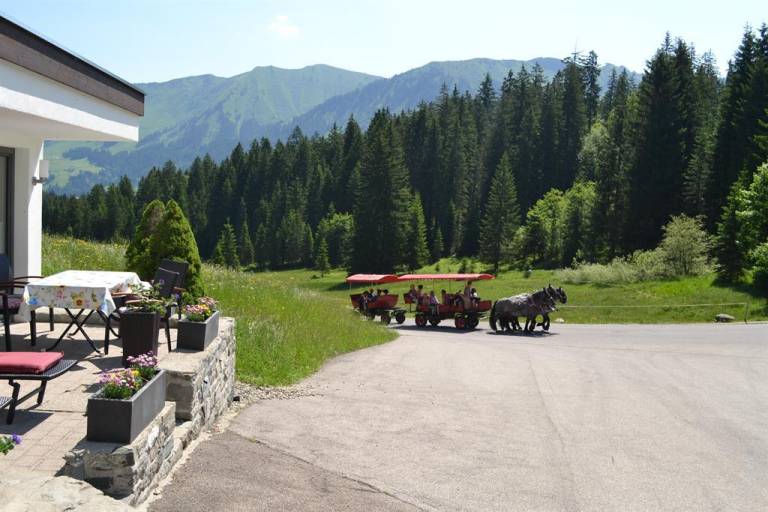foto10