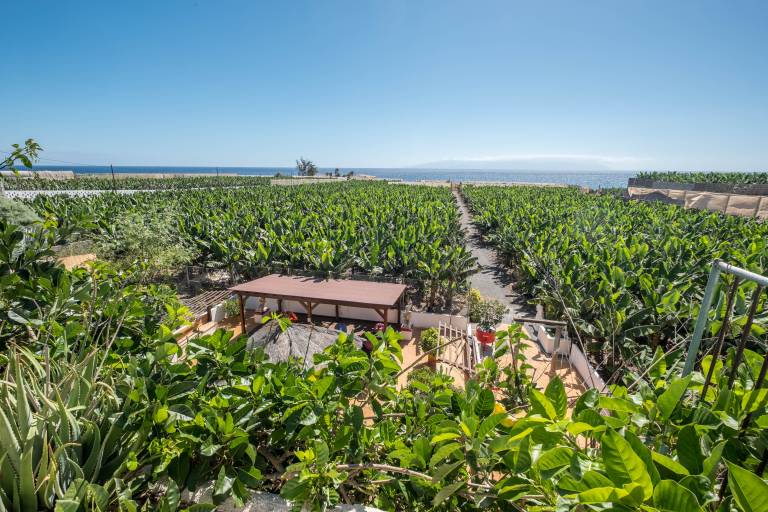 Rustic Holiday Home "Casa Cardón" in Alcalá with Terrace with Sea View and Garden — photo 4