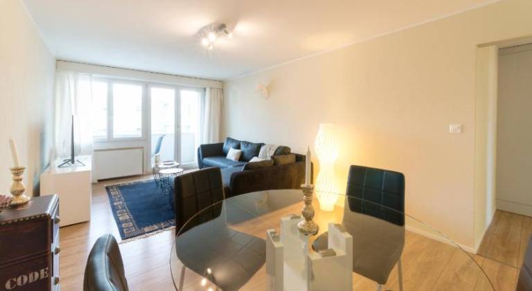 Rental apartment | Pets allowed in Opfikon