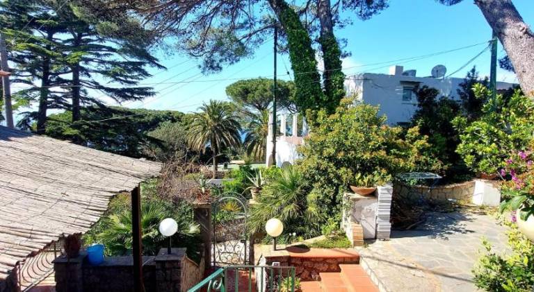 Authentic Oasis - Villa La Solara — photo 5