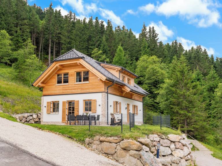Chalet Donnersbachwald