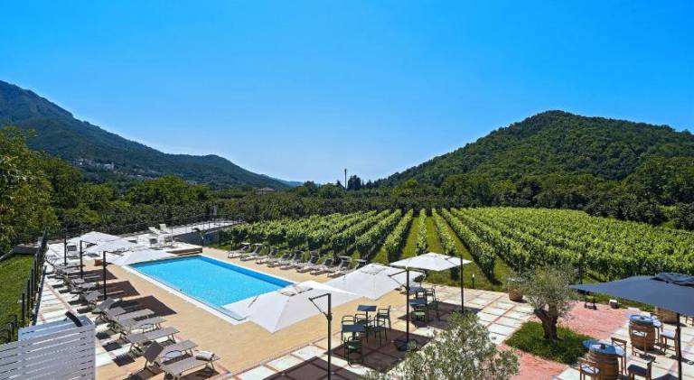 Farm with pool — photo 2