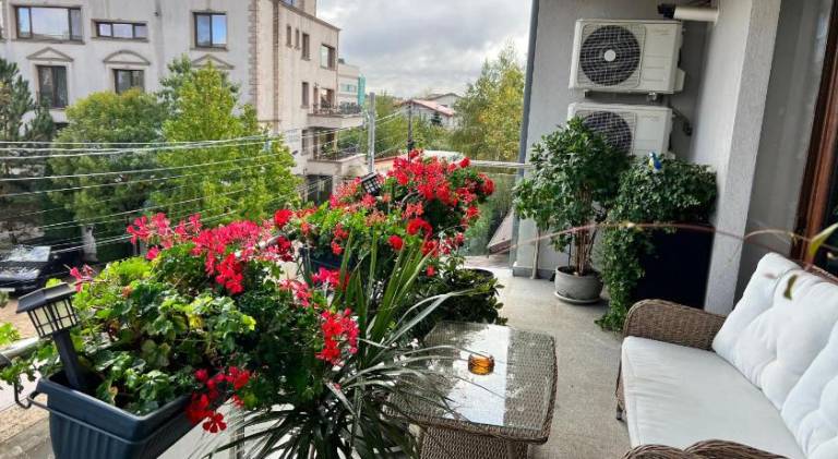 foto17