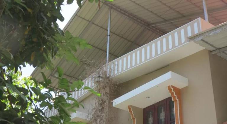 Pari's HOMEstay — photo 5