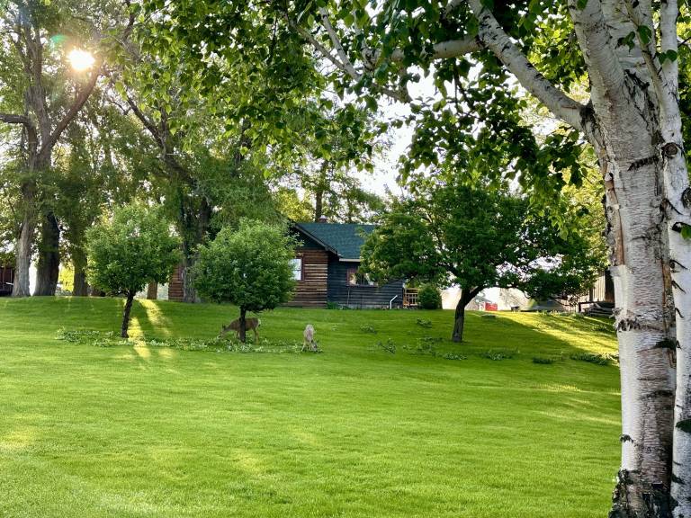 Cabin  Polson