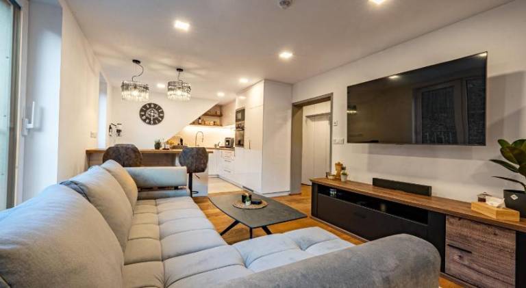 Holiday apartment | Next to the ski | Pets allowed in Benecko