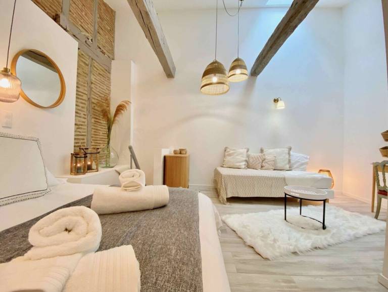 Apartment  Castres