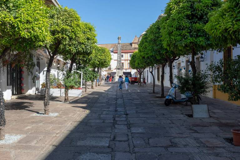 foto15
