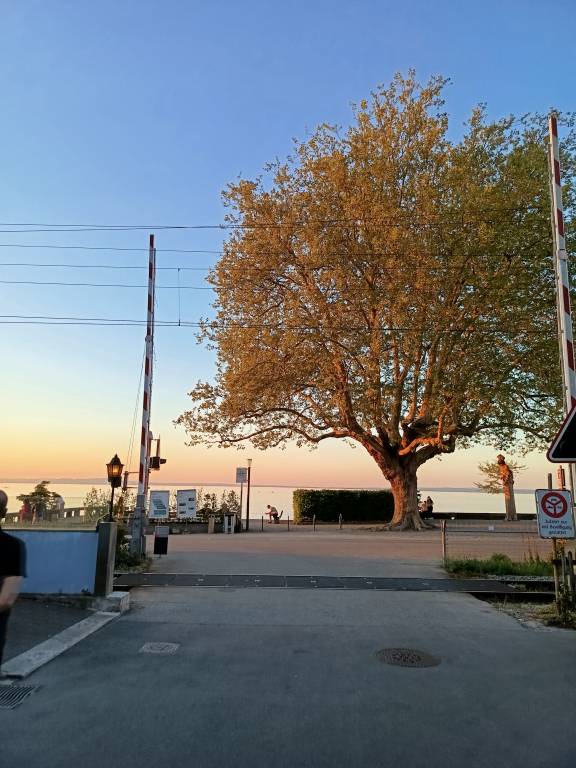 foto10