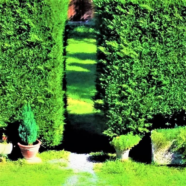 foto15