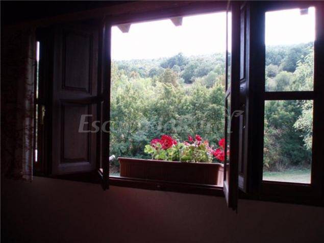 foto43