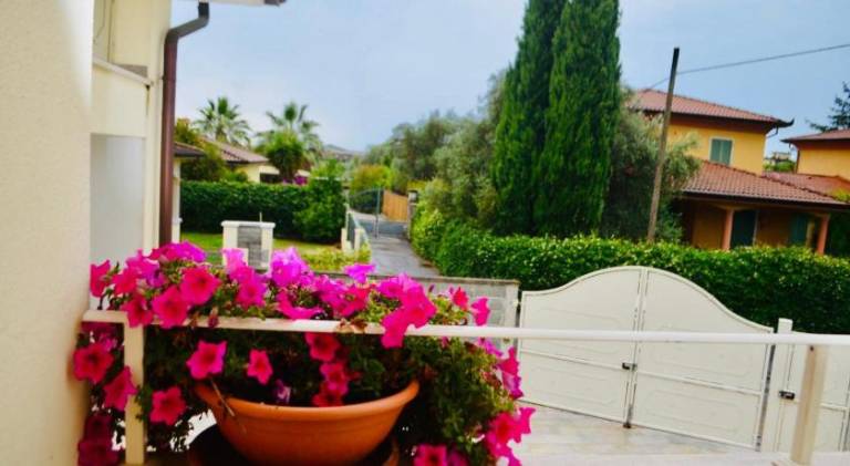 Holiday apartment | Dogs allowed — photo 4