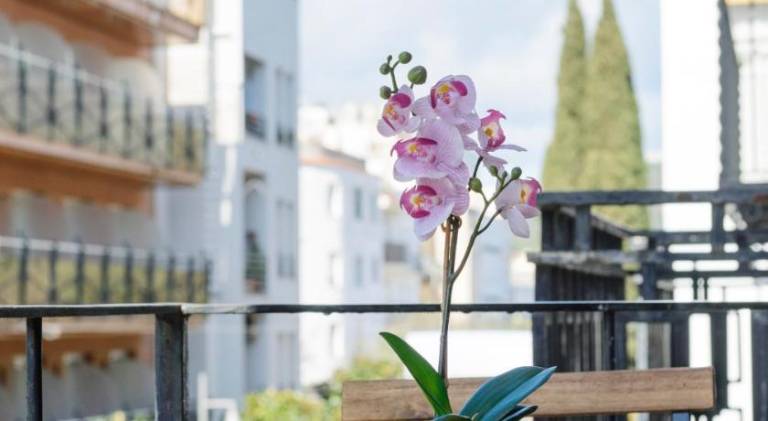 Holiday apartment with terrace — photo 3