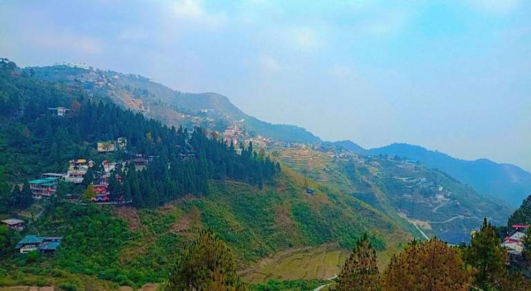The Pine Of Golden Home Stay