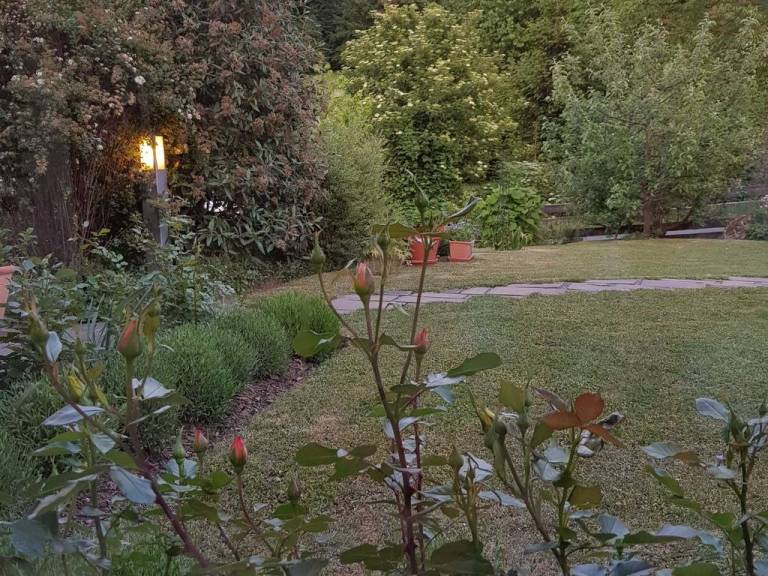 foto38