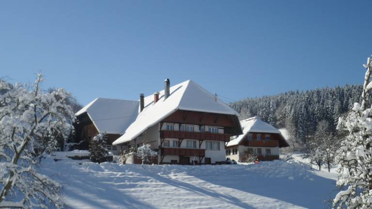 foto19
