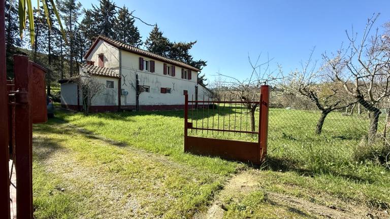 Ferienwohnung  Ostra