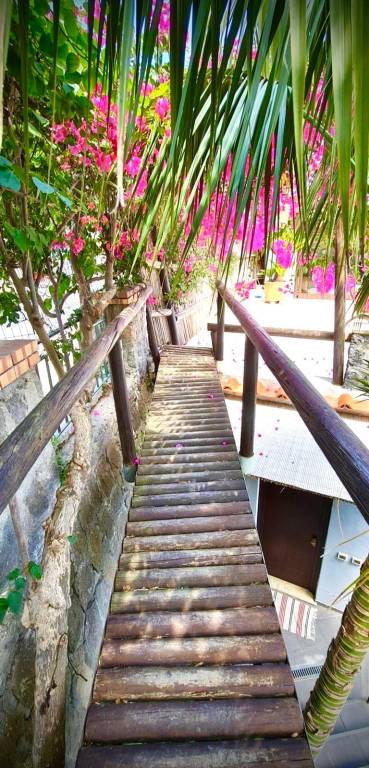 Fully equipped villa with yard, barbeque & terrace | Perfect for remote work | Pets allowed — photo 5