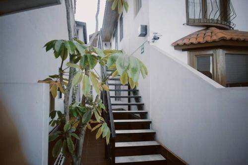 foto11