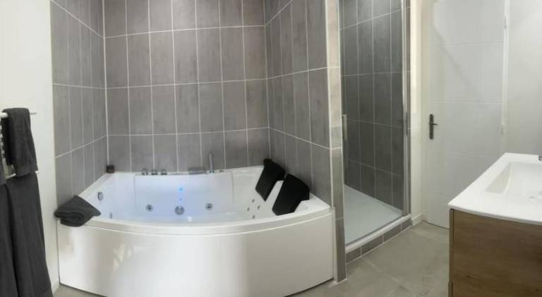 Apartment with jacuzzi | Dogs allowed — photo 4