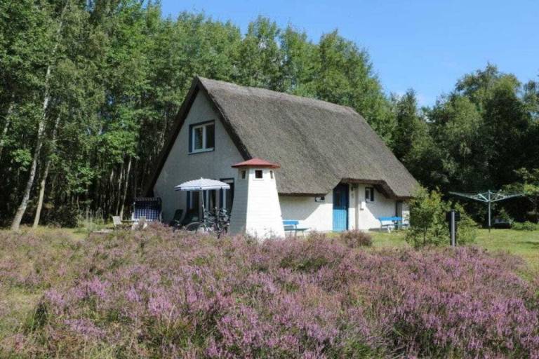 Ferienhaus Schaprode