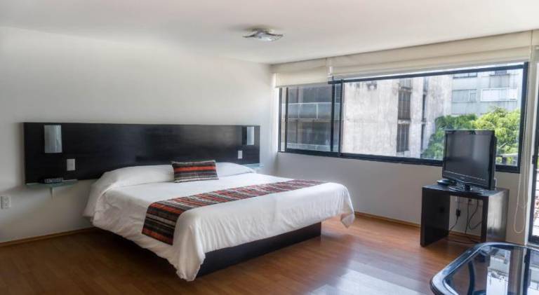 Serviced apartment with terrace in Mexico City