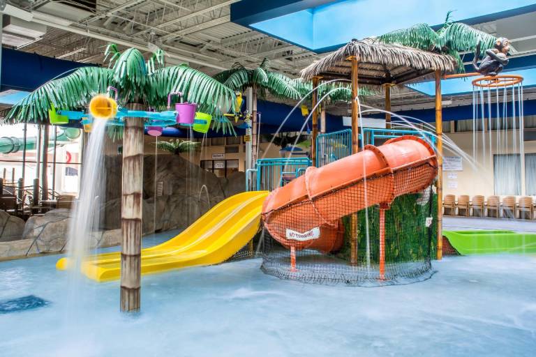 Quality Inn & Suites Palm Island Indoor Waterpark — photo 2