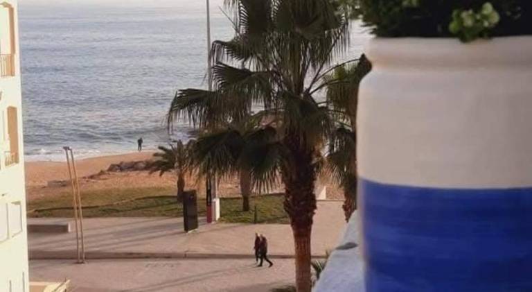 Rental apartment | Beach nearby | Dogs allowed — photo 4