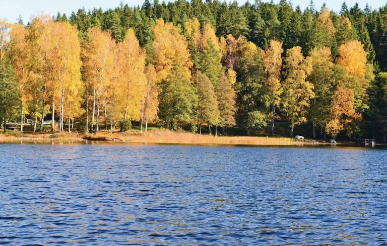 Feriehus  Gislaveds kommun
