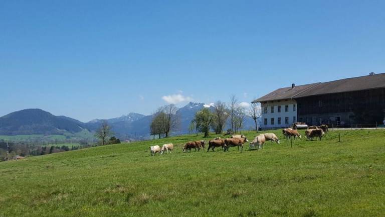 Ferienwohnung Miesbach