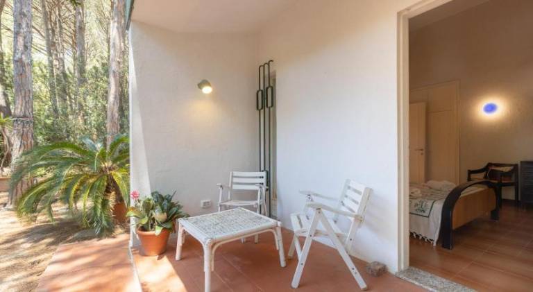 Spacious vacation home | Pets are welcome — photo 4