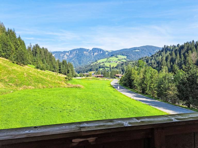 foto12