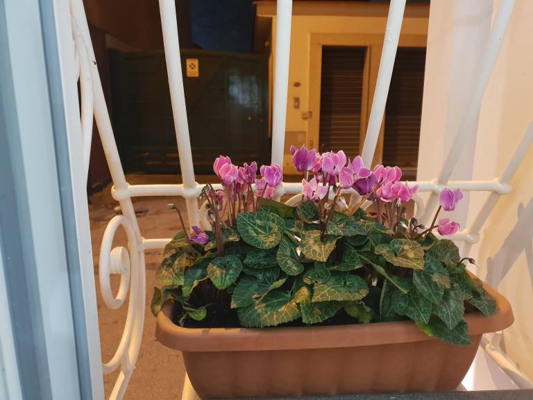 foto28