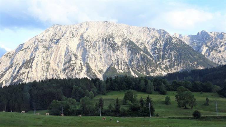 foto12