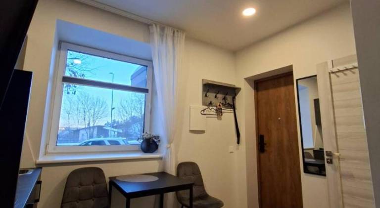 Rental apartment for 2 persons in Kaunas